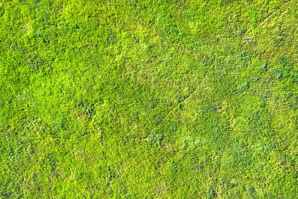 Аэрофотосъемка Зеленой Травы Фона Текстуры — стоковое фото