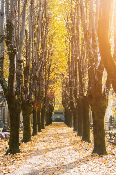 Empty Alley Autumn Sunny Day — Stock Photo, Image