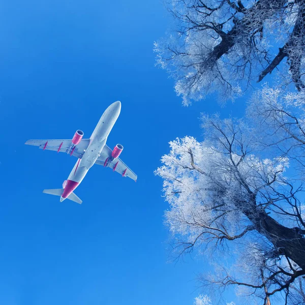 Passenger airplane flying over snow-covered trees