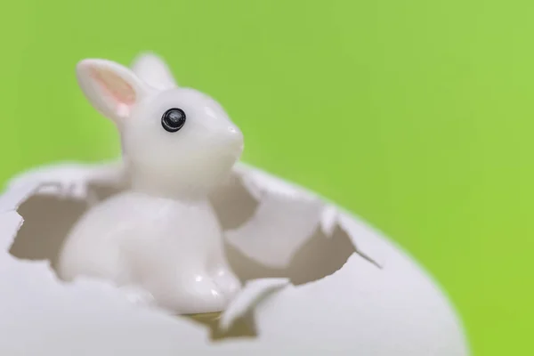 Little white toy rabbit in the eggshell on a green background
