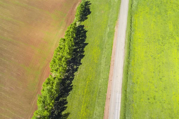 Uma Estrada Asfalto Vazia Com Rachaduras Campo Verde Vista Superior — Fotografia de Stock