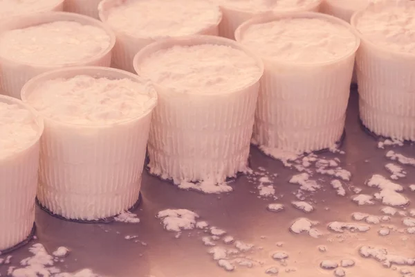 Fresh Yogurt Plastic Cups Toned — Stock Photo, Image