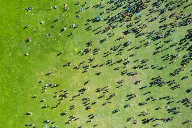 Holi renkleri Festival at insanlar yükseklikten görüntülemek
