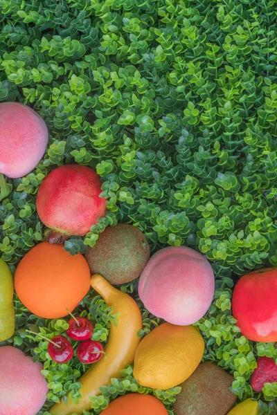 Yeşil Çimen Arka Plan Üzerinde Renkli Meyve Karışımı — Stok fotoğraf