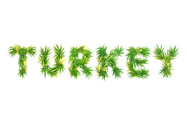 Palabra Turquía Hecha Hojas Cannabis Verde Sobre Fondo Blanco Aislado —  Fotos de Stock