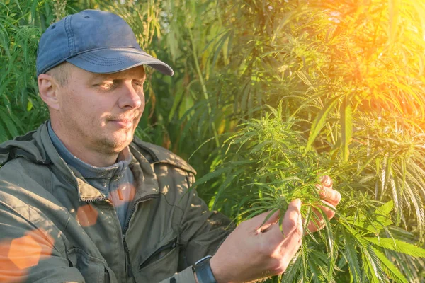 Vuxen Man Ett Tak Hampa Fält Solljus — Stockfoto