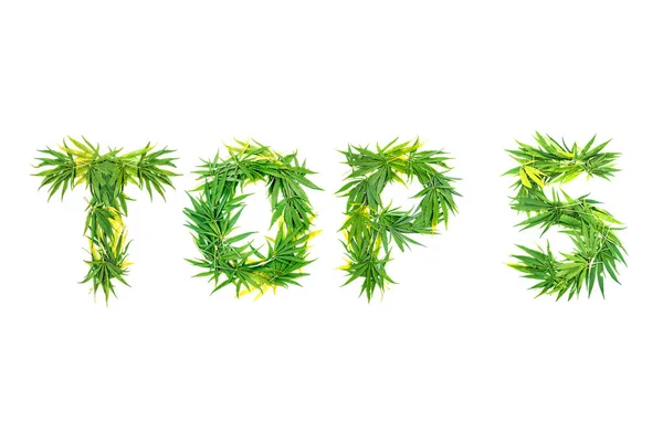 Word Top Made Green Cannabis Leaves White Background Isolated — Stock Photo, Image