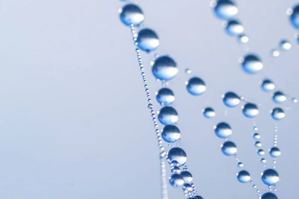 Water Drops Cobweb Blue Abstract Background — Stock Photo, Image