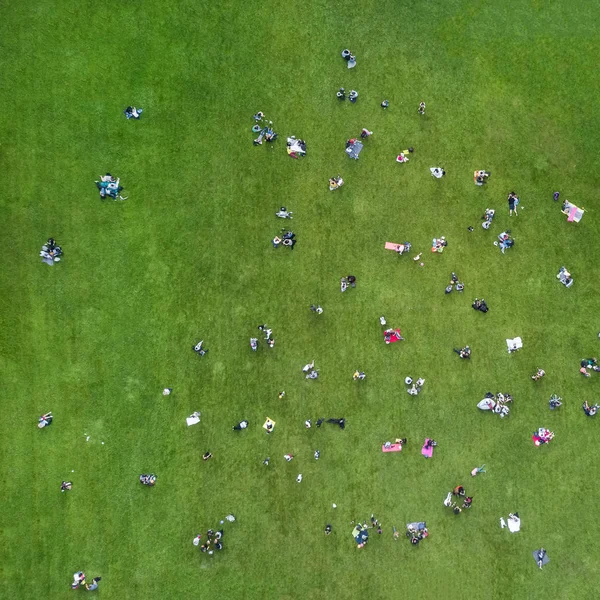 緑の芝生 トップ ビューで休んでいる人々 の群衆 — ストック写真