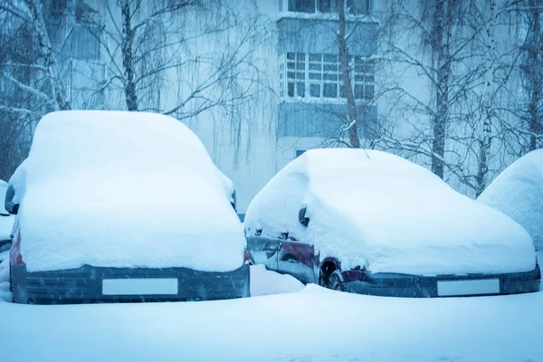 Σταθμευμένα Αυτοκίνητα Καλυμμένα Χιόνι Ήπια — Φωτογραφία Αρχείου