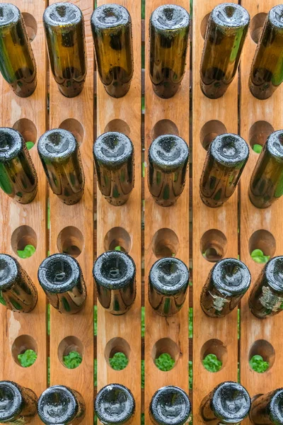 Holzständer Mit Löchern Für Flaschen Hintergrund — Stockfoto