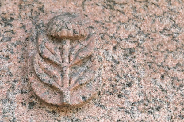 Kabartma Bir Çiçek Üzerinde Pembe Bir Granit — Stok fotoğraf
