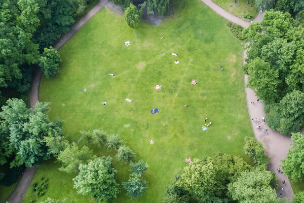 People sunbathe on a green lawn in a summer park, top view