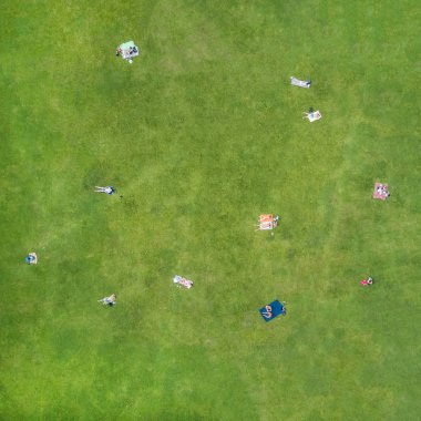 İnsanlar yeşil çim üzerinde üstten görünüm güneşlenmek