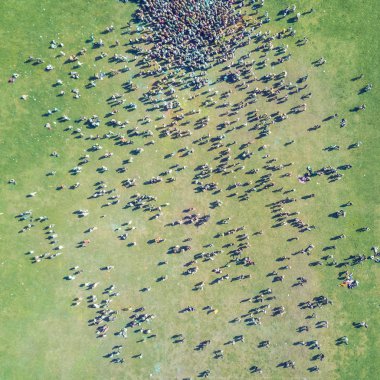 Üstten görünüm insanların boya lekeli Holly renkleri Festivali'nde