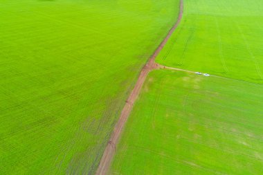 Yeşil alan ve ülkede yol arabalar ve insanlar ile yukarıdan görüntüleyin