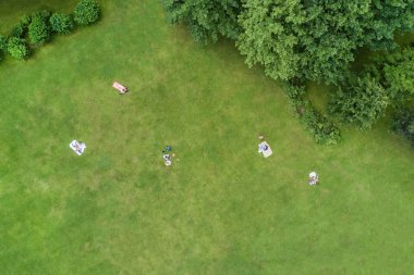 Bir grup insan bir yaz Park, üstten görünüm bir çimenlikte güneşlenme