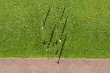 İnsanlar bir road yakınındaki bir yeşil çim üzerinde yukarıdan