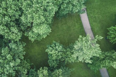 Parkta yürüyüş yolunun üstten görünüm