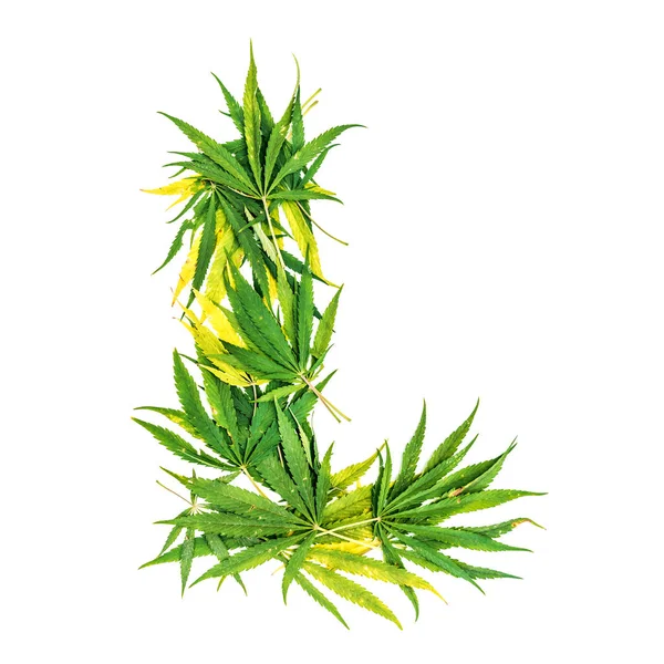 Buchstabe Aus Grünen Cannabisblättern Auf Weißem Hintergrund Isoliert — Stockfoto