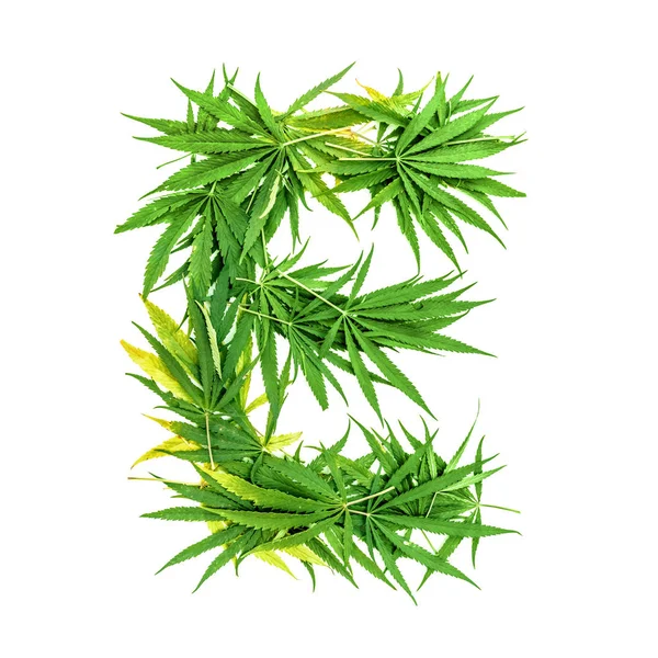 Betű Zöld Kannabisz Készült Levelek Fehér Alapon Elszigetelt — Stock Fotó