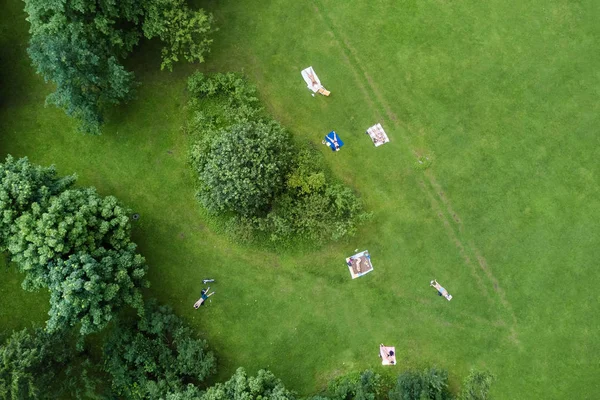 Persone Prendere Sole Prato Verde Parco Estivo Vista Dall Alto — Foto Stock