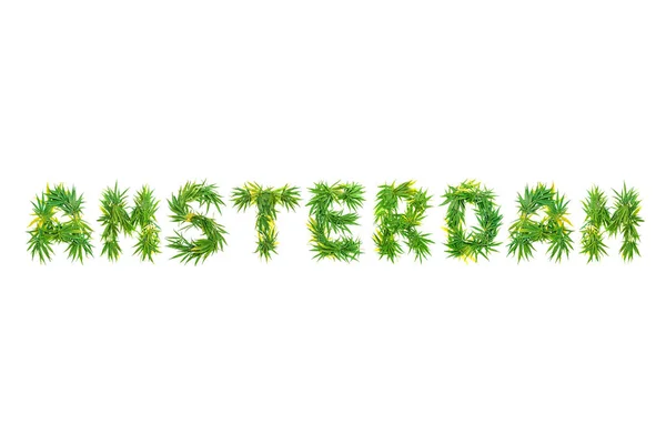 Word Amsterdam Wykonane Konopi Zielony Liści Białym Tle Białym Tle — Zdjęcie stockowe