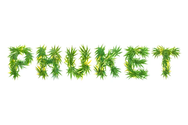 Palabra Phuket Hecha Hojas Cannabis Verde Sobre Fondo Blanco Aislado —  Fotos de Stock
