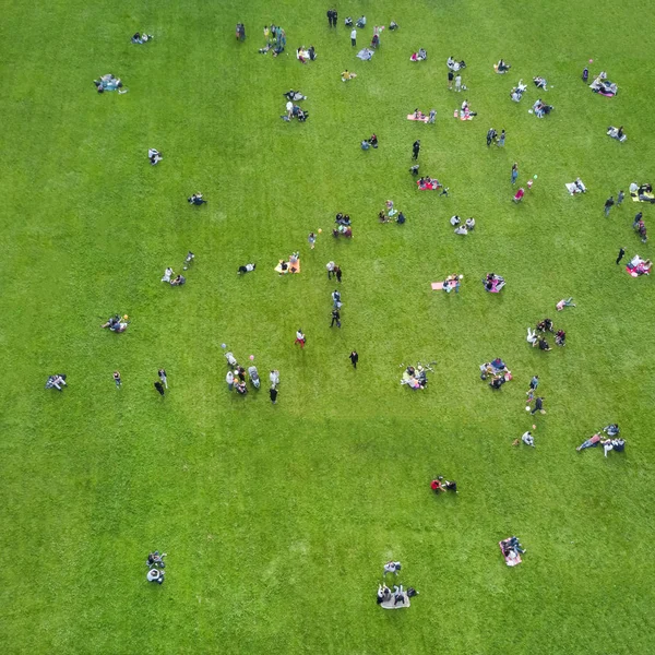 成群结队的人在公园的绿色草坪上休息 顶视图 — 图库照片