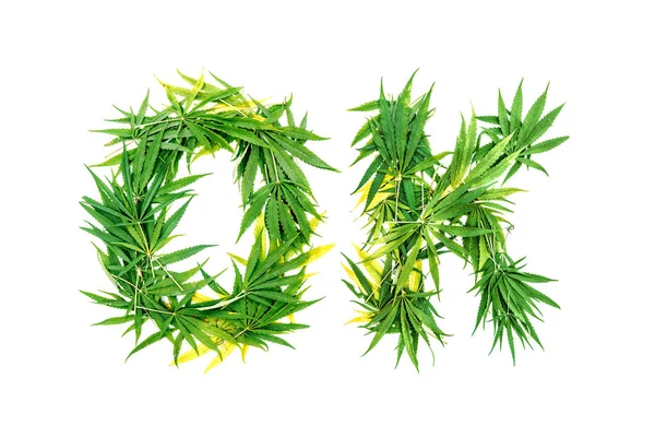 Palavra Feita Folhas Cannabis Verde Fundo Branco Isolados — Fotografia de Stock