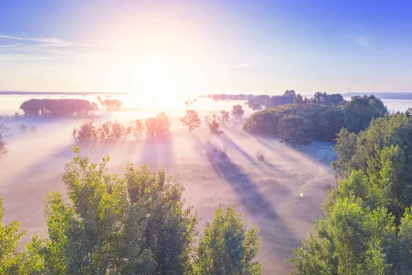 Bela Vista Nevoeiro Sobre Campo Com Árvores Nascer Sol — Fotografia de Stock