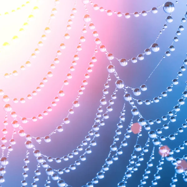 Spiderweb Water Dropsb Sunlight Abstract Background — Stock Photo, Image