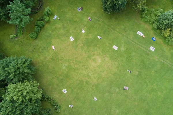 Persone Prendere Sole Prato Verde Nel Parco Vista Dall Alto — Foto Stock