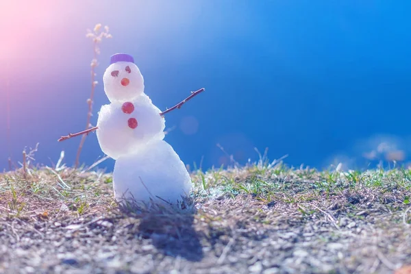 Маленький Снеговик Синей Кепке Траве Солнечном Свете — стоковое фото
