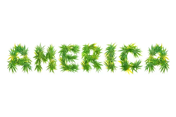 Word America Made Green Cannabis Leaves White Background Isolated — Stock Photo, Image