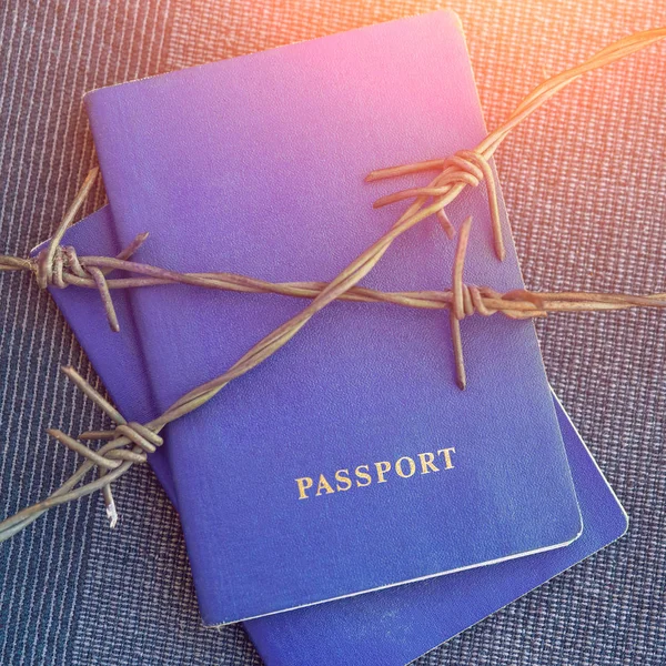 Passaporte Azul Atrás Arame Farpado Fundo Têxtil Azul Sob Luz — Fotografia de Stock