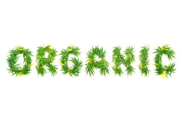 由绿色大麻叶子制成的有机词在白色背景上 — 图库照片