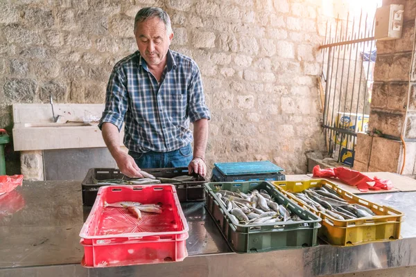 Kotor Montenegro Abril 2017 Fishmonger Atrás Balcão — Fotografia de Stock