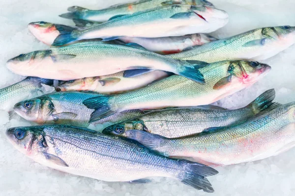 Свежая Рыба Льду Фон — стоковое фото