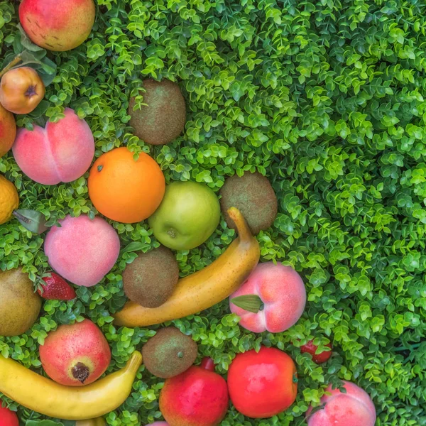 Fruta Colorida Sobre Hierba Verde Fondo — Foto de Stock