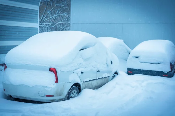 Αυτοκίνητα Καλυμμένα Χιόνι — Φωτογραφία Αρχείου