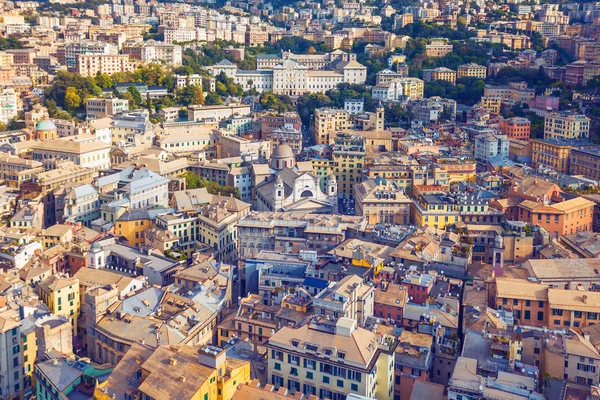 Cityscape Genoa Italy Top View — Stock Photo, Image