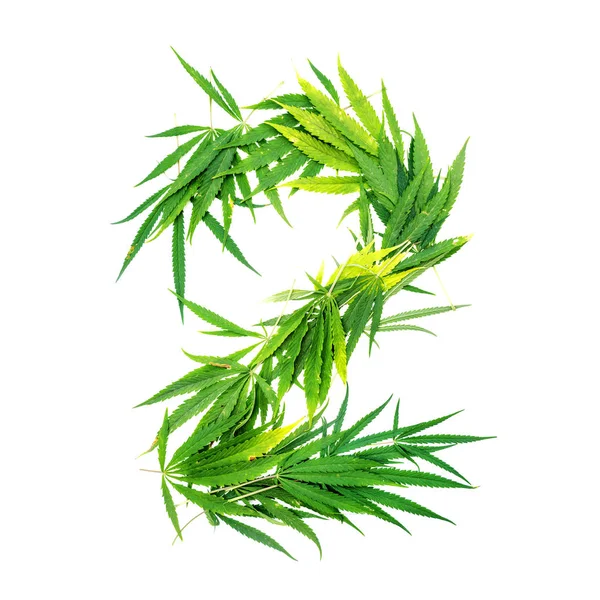 Número Dois Feito Folhas Cannabis Verde Num Fundo Branco Isolados — Fotografia de Stock