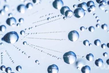 Su damlaları bir spiderweb, mavi arka plan üzerinde