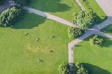 İnsanlar bir yaz Park, üstten görünüm yeşil çim üzerinde dinlenme