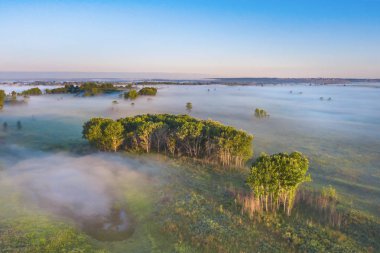 Alan ile kaplı ağaçlar sis