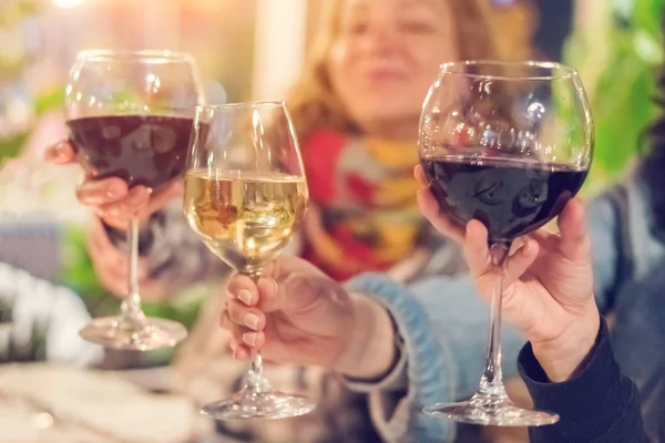 Pessoas Com Copos Vinho Brinde — Fotografia de Stock