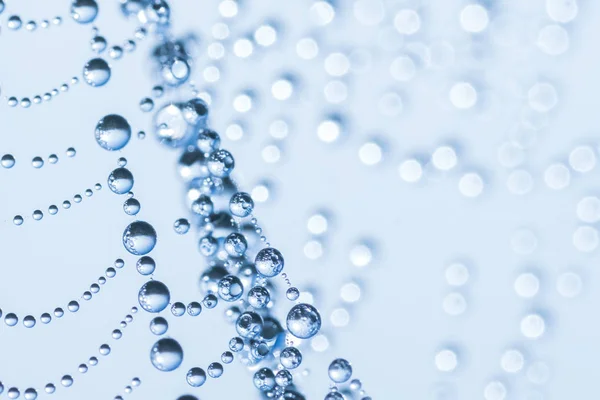 Water Drops Cobweb Blue Abstract Background — Stock Photo, Image