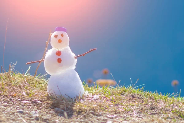 Новогодний Снеговик Синей Шапке Траве Солнечном Свете — стоковое фото