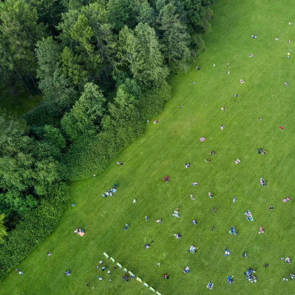 People sitting on a green lawn in a summer park, top view
